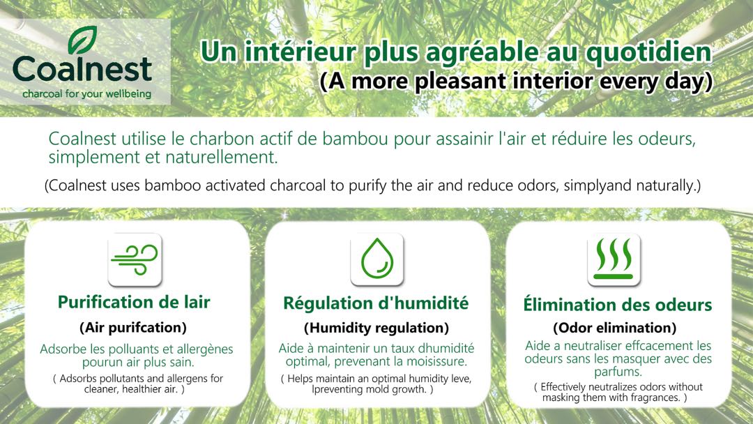 Active Charcoal Purifying Kit – Coalnest - Image 6