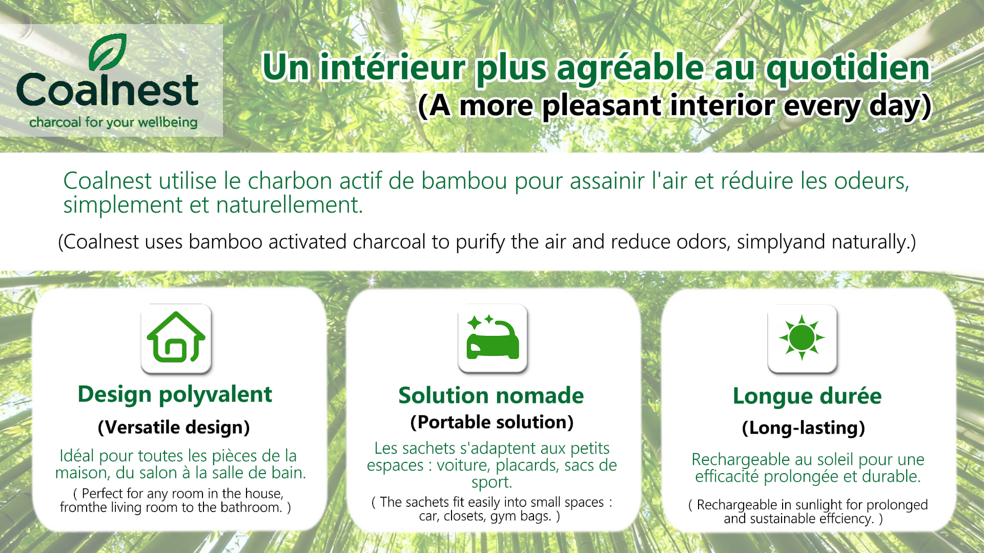 Active Charcoal Purifying Kit – Coalnest - Image 7